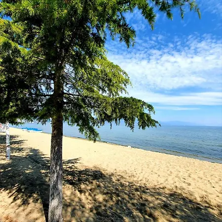 Treis Appartement Pogradec